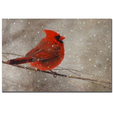 Trademark Fine Art Lois Bryan 'Cardinal in Winter' Canvas Art, 14x19 LBr053-C1419GG